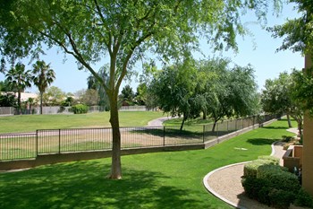 Grass Area at Haven at Arrowhead Apartments in Glendale Arizona 2021